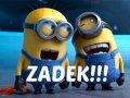 zadek.jpg